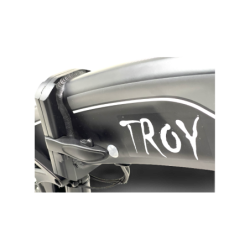 Troy, All-Road, Tout suspendu, Batterie intégrée, Freins à disque, Ecran couleur